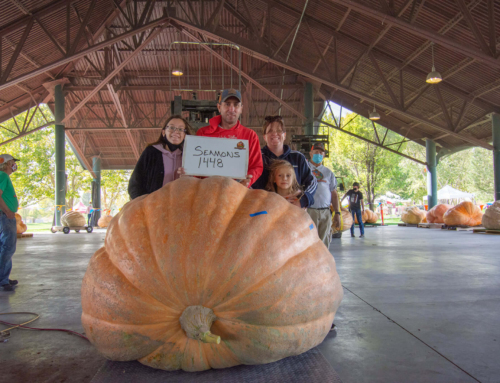 Our Story Continued…