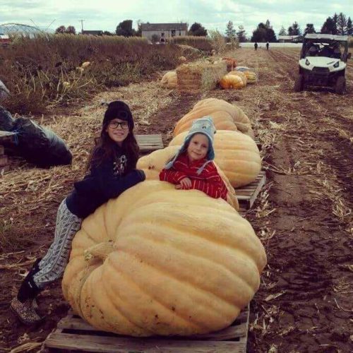 two children leaning on a pumpkin