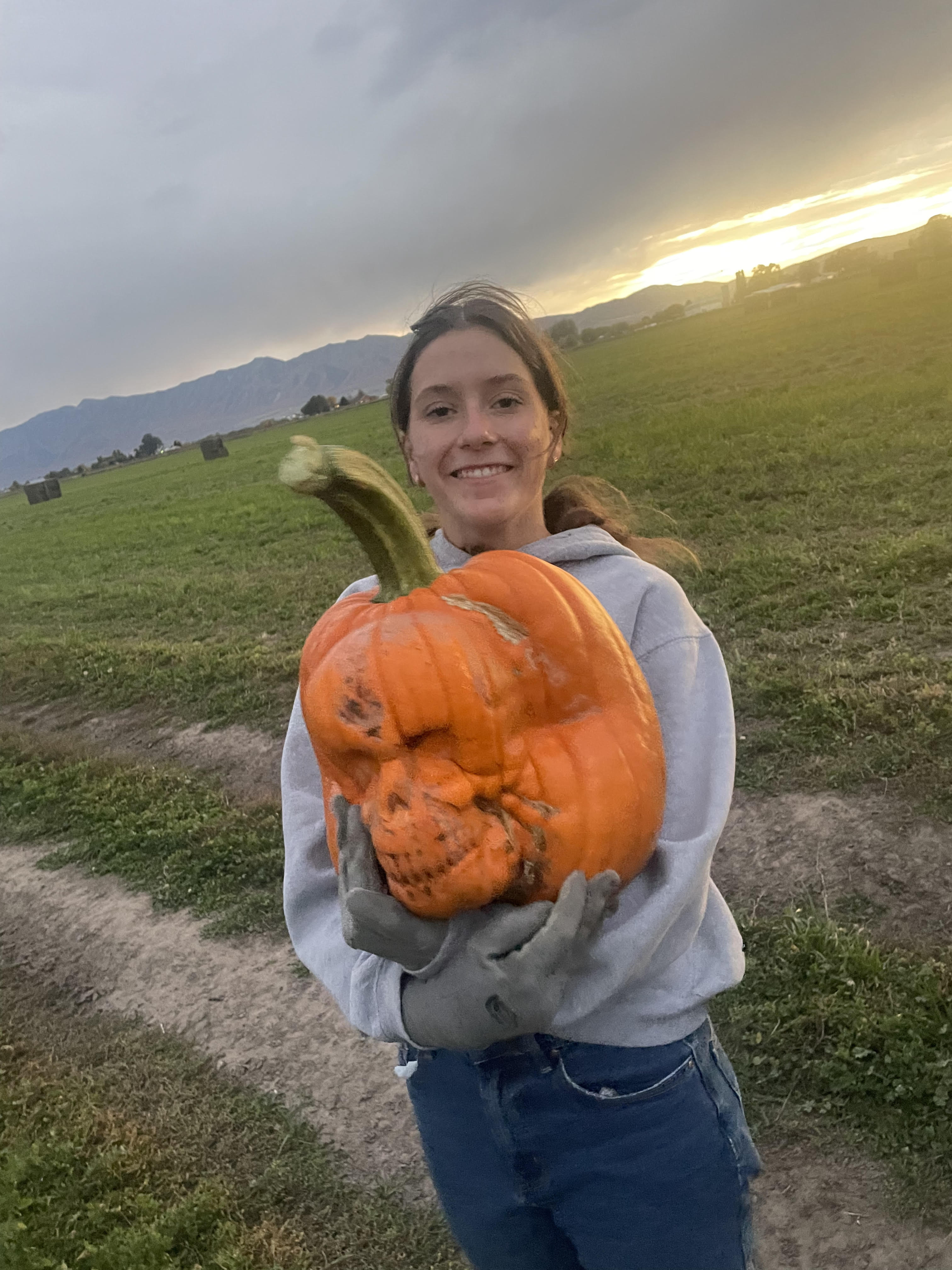 Skull Pumpkin. face on pumpkin